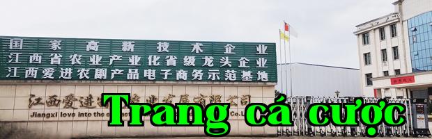Về chúng tôi