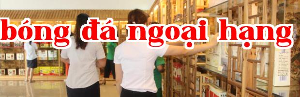 Tin tức động thái