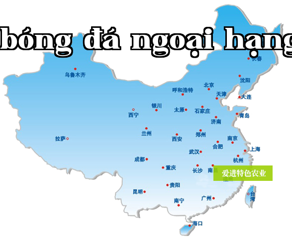 Đây là thông tin mô tả